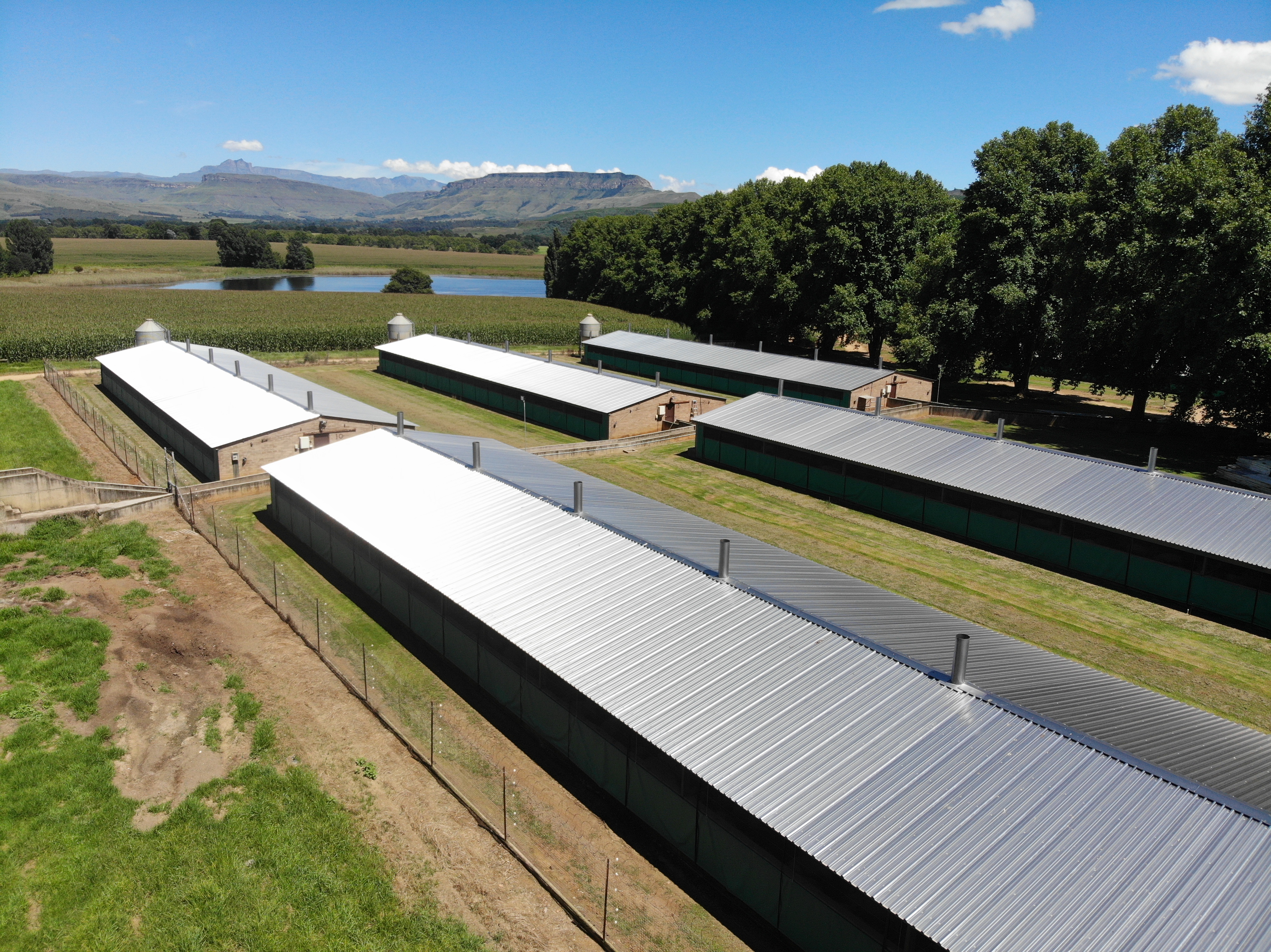 Piggery (952m²)